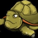 Turtle - A wise reptile